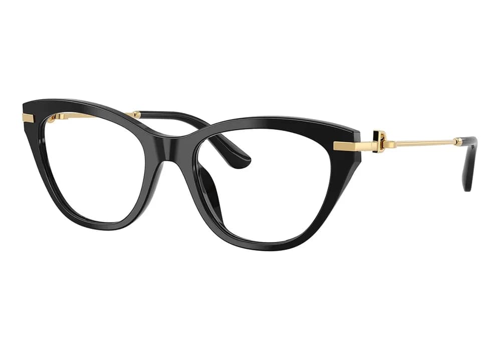 Dolce & Gabbana DG 3428
